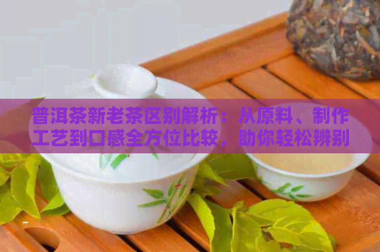 普洱茶新老茶区别解析：从原料、制作工艺到口感全方位比较，助你轻松辨别！