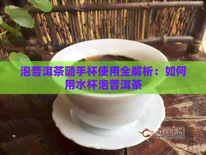 泡普洱茶随手杯使用全解析：如何用水杯泡普洱茶