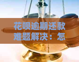 花呗逾期还款难题解决：怎么处理无法还款项的困境