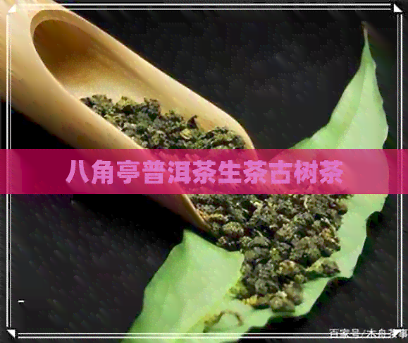 八角亭普洱茶生茶古树茶