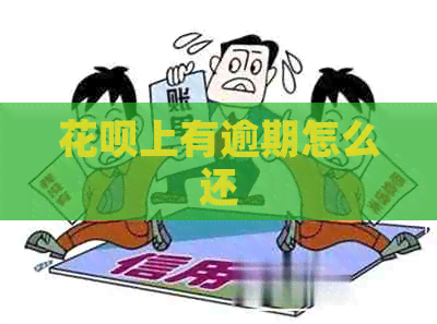 花呗上有逾期怎么还