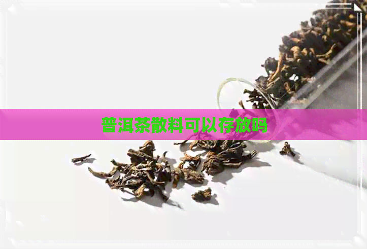 普洱茶散料可以存放吗