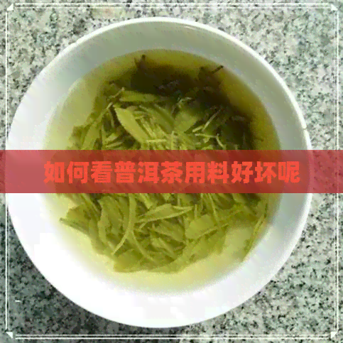 如何看普洱茶用料好坏呢