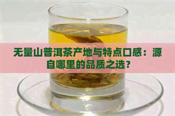 无量山普洱茶产地与特点口感：源自哪里的品质之选？