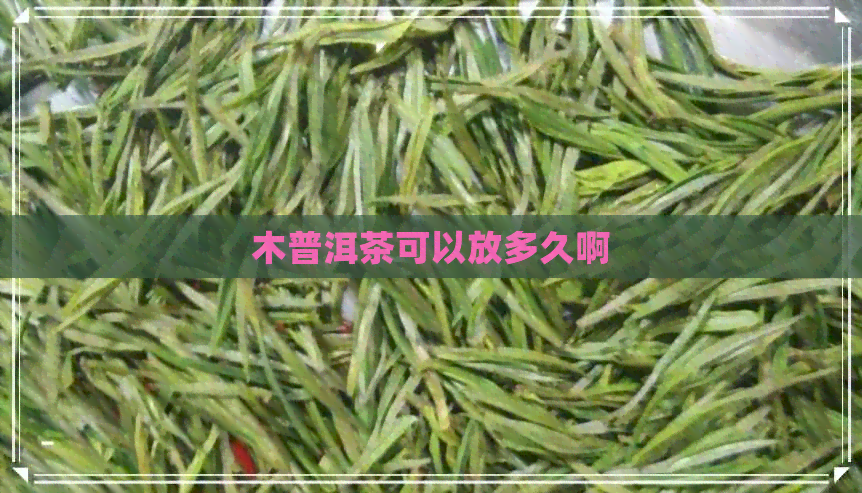 木普洱茶可以放多久啊