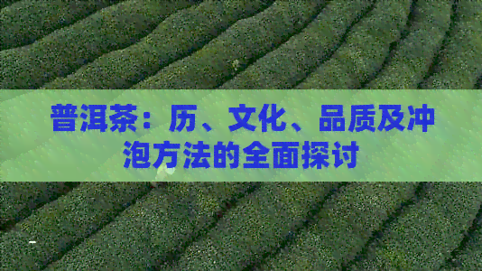 普洱茶：历、文化、品质及冲泡方法的全面探讨