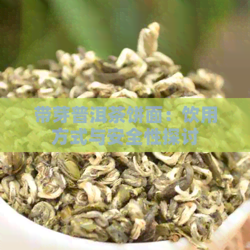 带芽普洱茶饼面：饮用方式与安全性探讨