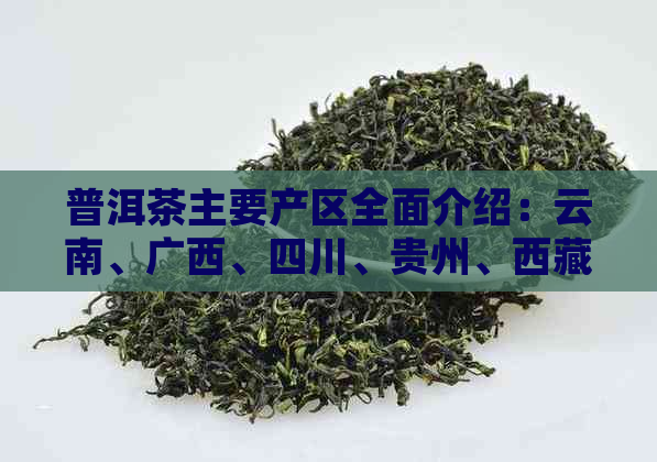 普洱茶主要产区全面介绍：云南、广西、四川、贵州、     等省份。