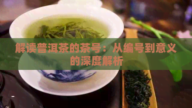 解读普洱茶的茶号：从编号到意义的深度解析