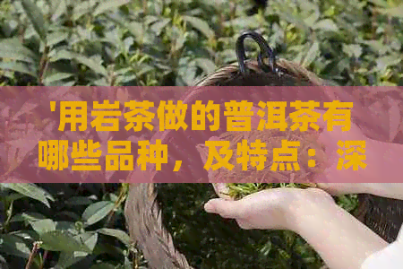 '用岩茶做的普洱茶有哪些品种，及特点：深度解析'