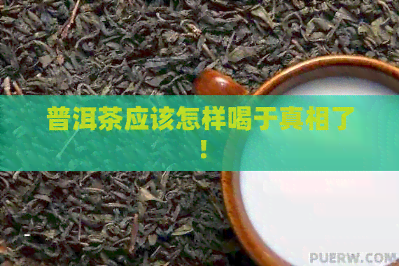 普洱茶应该怎样喝于真相了！