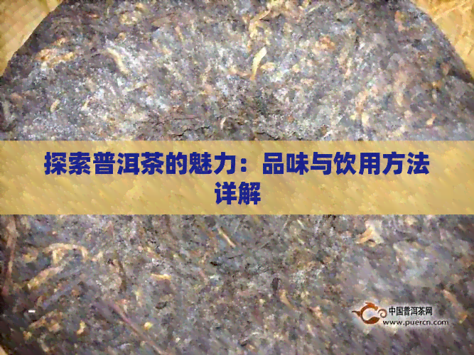 探索普洱茶的魅力：品味与饮用方法详解