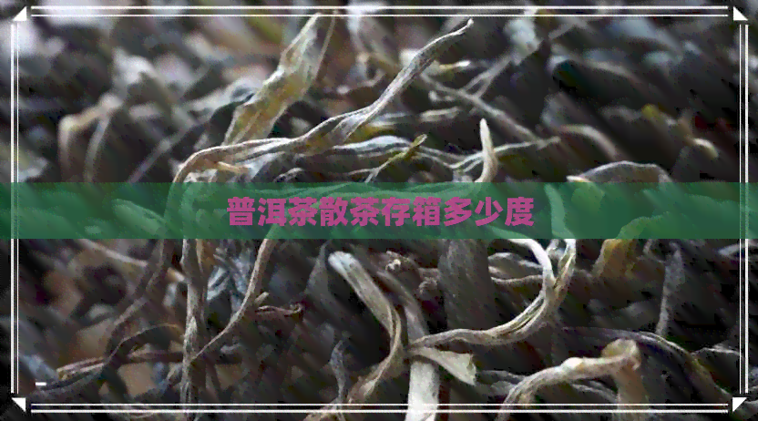 普洱茶散茶存箱多少度