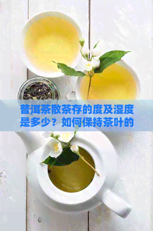 普洱茶散茶存的度及湿度是多少？如何保持茶叶的品质和口感？