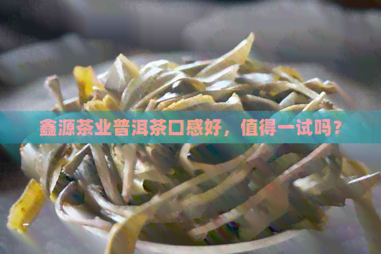 鑫源茶业普洱茶口感好，值得一试吗？