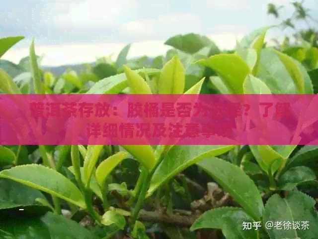 普洱茶存放：胶桶是否为选择？了解详细情况及注意事项