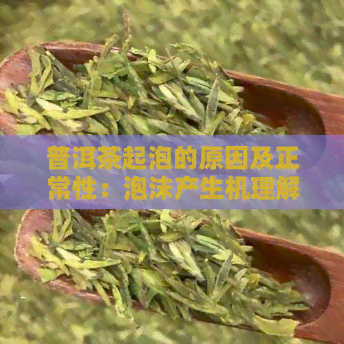 普洱茶起泡的原因及正常性：泡沫产生机理解析