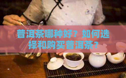 普洱茶哪种好？如何选择和购买普洱茶？