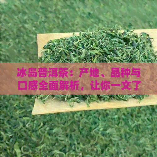 冰岛普洱茶：产地、品种与口感全面解析，让你一文了解这个独特茶类的魅力