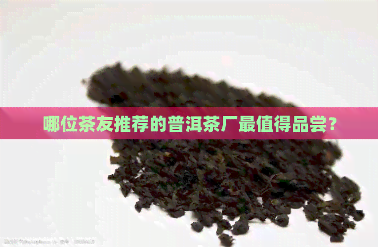 哪位茶友推荐的普洱茶厂最值得品尝？