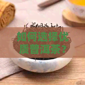 如何选择优质普洱茶？哪个和茶厂的普洱茶更好？