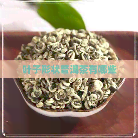 叶子形状普洱茶有哪些