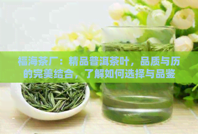 福海茶厂：精品普洱茶叶，品质与历的完美结合，了解如何选择与品鉴