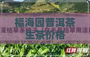 福海园普洱茶生茶价格