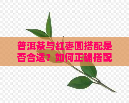 普洱茶与红枣圆搭配是否合适？如何正确搭配以达到效果？