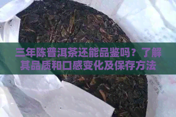 三年陈普洱茶还能品鉴吗？了解其品质和口感变化及保存方法