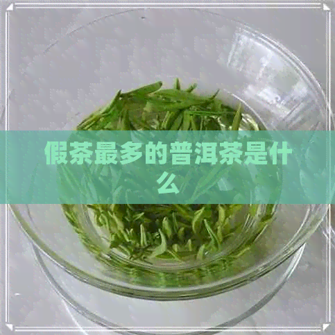 假茶最多的普洱茶是什么