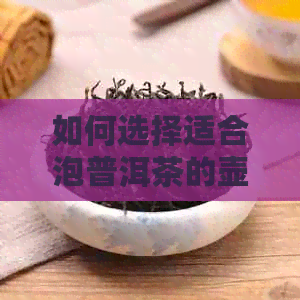 如何选择适合泡普洱茶的壶？普洱茶爱好者必看的全面指南