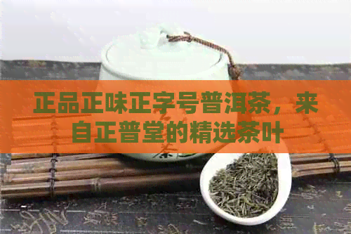 正品正味正字号普洱茶，来自正普堂的精选茶叶