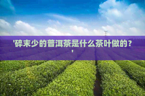 '碎末少的普洱茶是什么茶叶做的？'