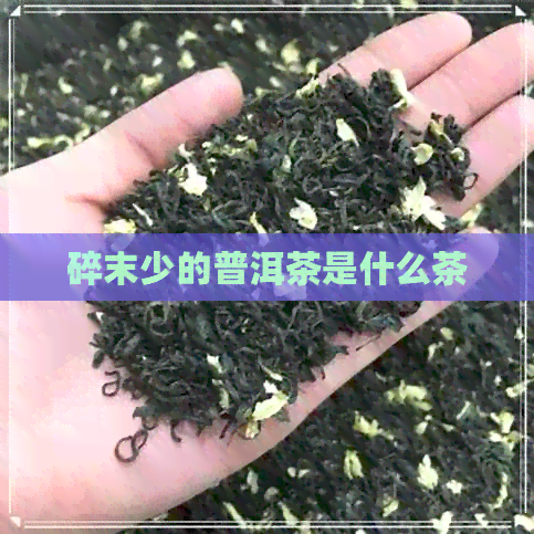 碎末少的普洱茶是什么茶