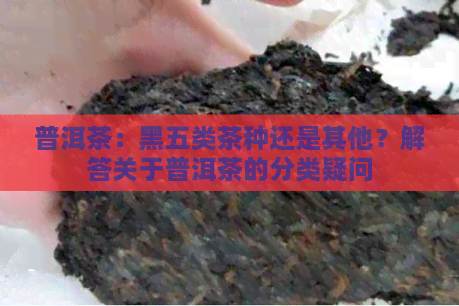 普洱茶：黑五类茶种还是其他？解答关于普洱茶的分类疑问