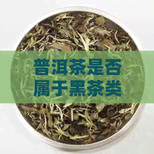 普洱茶是否属于黑茶类？茶叶种类及其分类解析