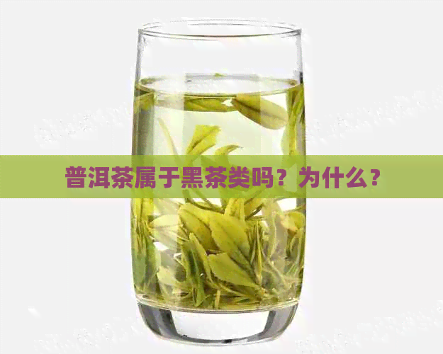 普洱茶属于黑茶类吗？为什么？