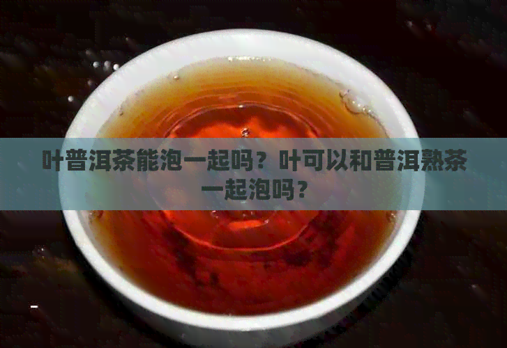 叶普洱茶能泡一起吗？叶可以和普洱熟茶一起泡吗？