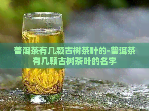 普洱茶有几颗古树茶叶的-普洱茶有几颗古树茶叶的名字