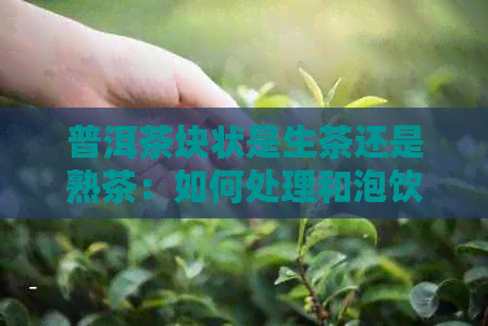 普洱茶块状是生茶还是熟茶：如何处理和泡饮？