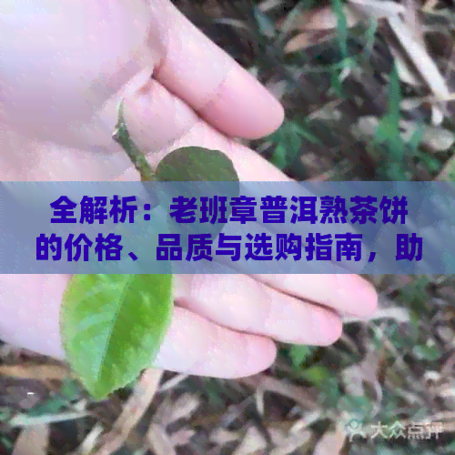 全解析：老班章普洱熟茶饼的价格、品质与选购指南，助你轻松找到理想之选！