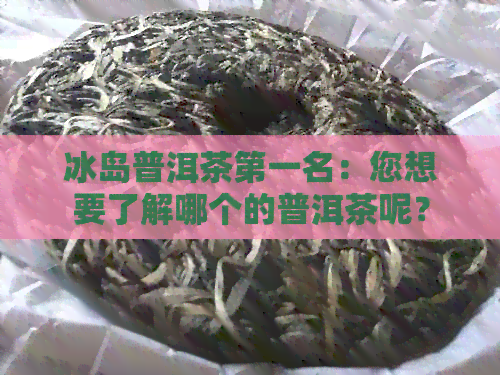 冰岛普洱茶之一名：您想要了解哪个的普洱茶呢？