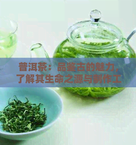 普洱茶：品鉴古的魅力，了解其生命之源与制作工艺