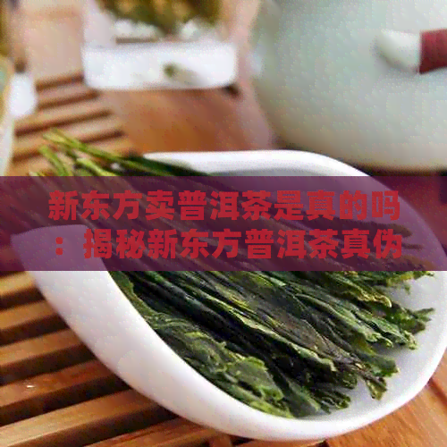 新东方卖普洱茶是真的吗：揭秘新东方普洱茶真伪