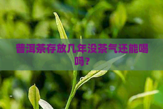 普洱茶存放几年没茶气还能喝吗？