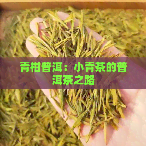 青柑普洱：小青茶的普洱茶之路