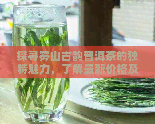 探寻雾山古韵普洱茶的独特魅力，了解最新价格及品鉴方法