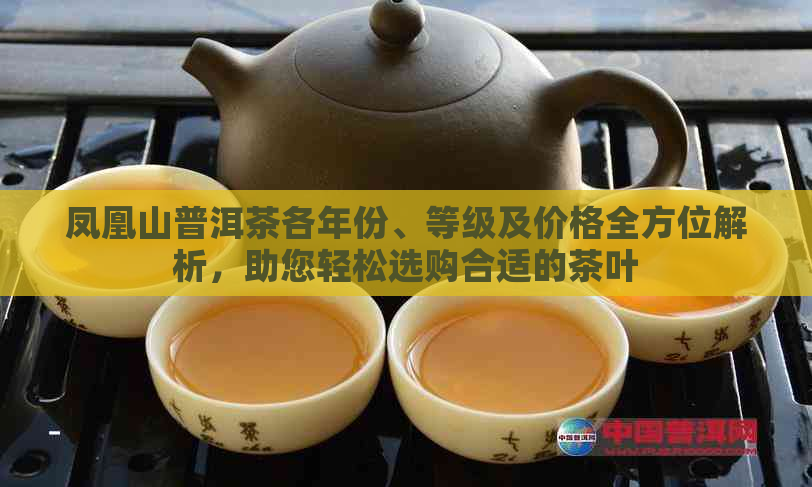 凤凰山普洱茶各年份、等级及价格全方位解析，助您轻松选购合适的茶叶