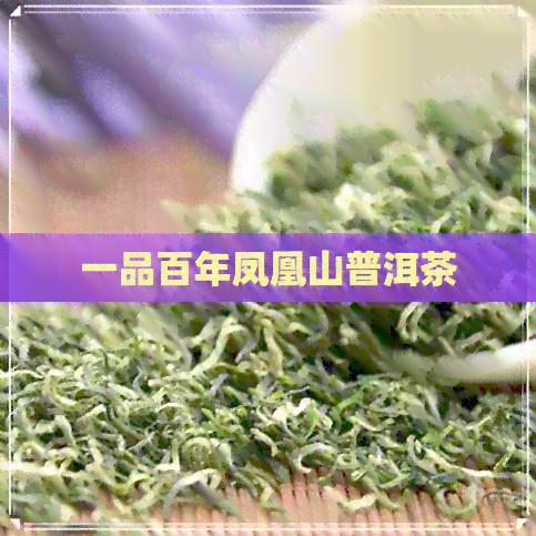 一品百年凤凰山普洱茶